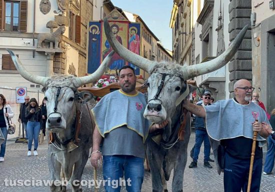 Viterbo - Festa del Santissimo Salvatore