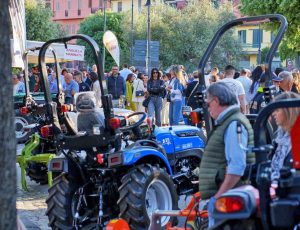 Fiera di Tuscania