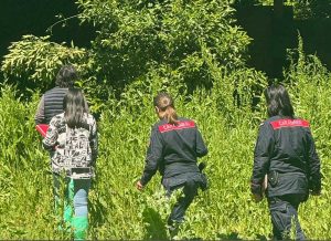 Cavallo riverso a terra - Intervento dei carabinieri