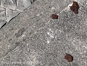 Viterbo - Gli escrementi in via Santa Rita 2