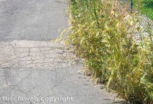 Viterbo - Erba e asfalto dissestato in via Don Minzoni
