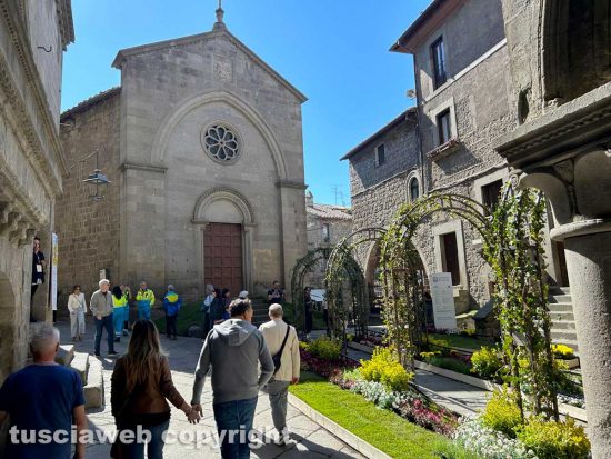 Viterbo - San Pellegrino in Fiore