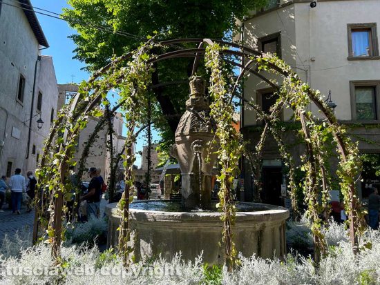 Viterbo - San Pellegrino in Fiore