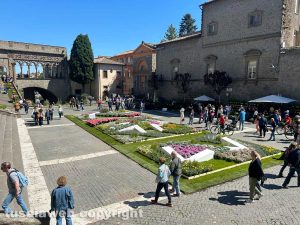 Viterbo - San Pellegrino in Fiore