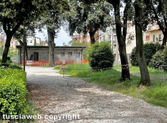 Viterbo - Alberi pericolanti a pratogiardino Lucio Battisti e la sindaca Frontini non fa niente...