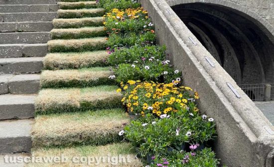 San Pellegrino in Fiore senza fiori, l’edizione più brutta di sempre