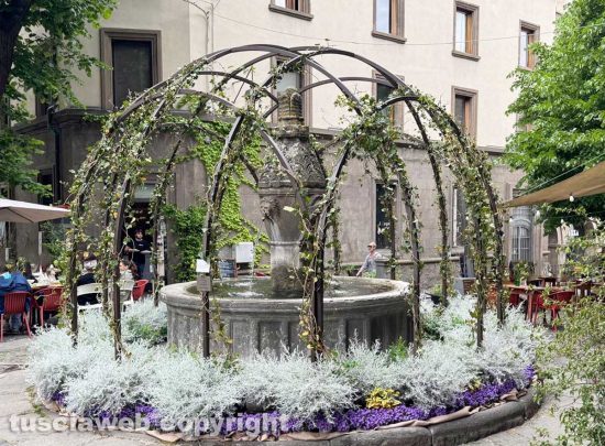 San Pellegrino in Fiore senza fiori, l’edizione più brutta di sempre - Piazza della Morte