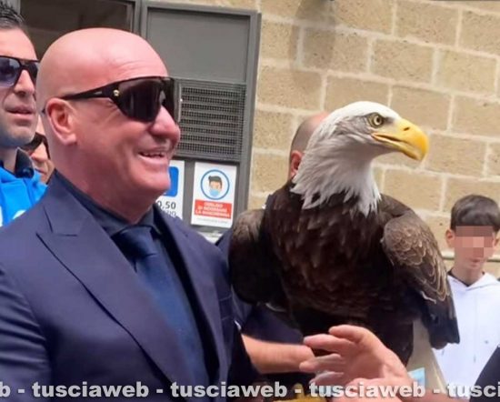 Caprarola - L'ex falconiere della Lazio, Juan Bernabé, con l’aquila Olympia