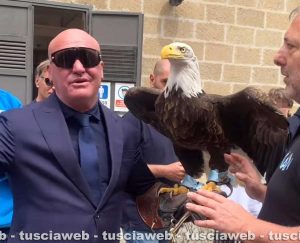 Caprarola - L'ex falconiere della Lazio, Juan Bernabé, con l’aquila Olympia