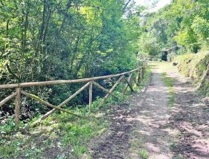 In corso i lavori di sistemazione delle staccionate alle Piagge