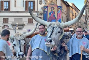 Viterbo - Festa del Santissimo Salvatore