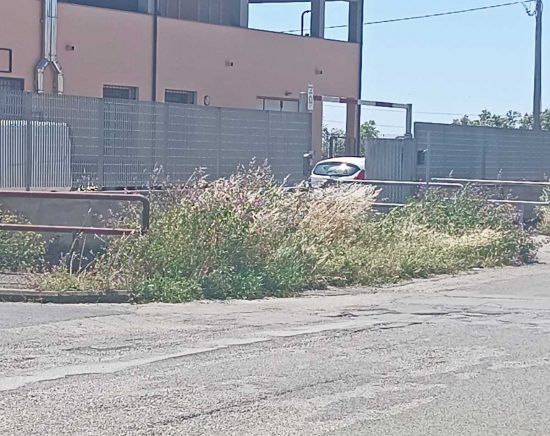 Tarquinia - nuove segnalazioni sul degrado