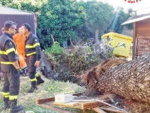 Cerveteri - Un albero cade addosso ad un oratorio parrocchiale