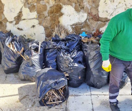 Civitavecchia - Rimossi 100 sacchi di rifiuti indifferenziati dalla spiaggia del Pirgo
