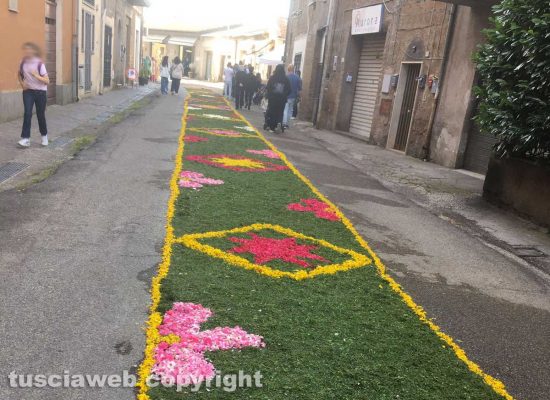 L'infiorata a Corchiano