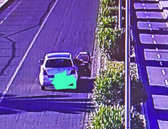 Cerveteri - Due cagnolini abbandonati sul lungomare, i responsabili identificati dalla videosorveglianza