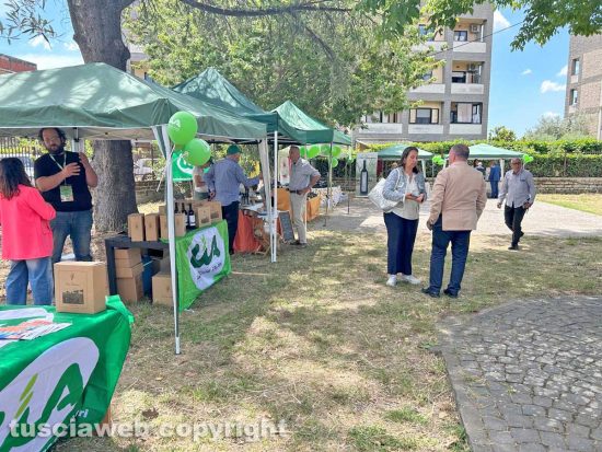Viterbo - “I tesori del territorio”, al via il mercatino Cia