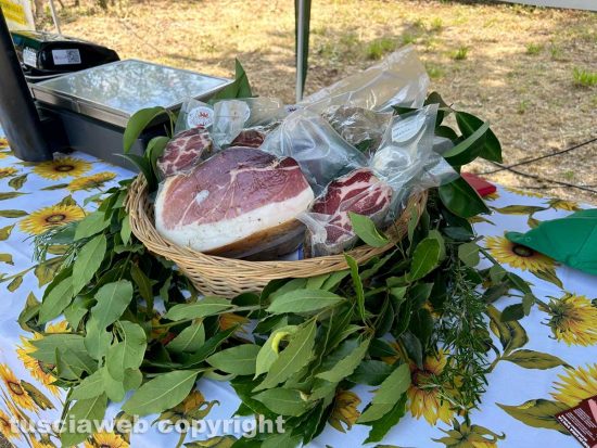 Viterbo - “I tesori del territorio”, al via il mercatino Cia