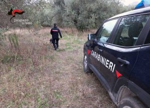 Spaccio di droga - Operazione Sottobosco