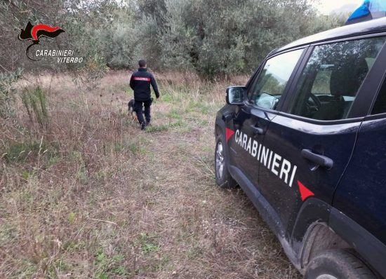 Spaccio di droga - Operazione Sottobosco