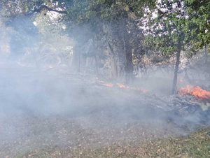 Incendio a Bolsena