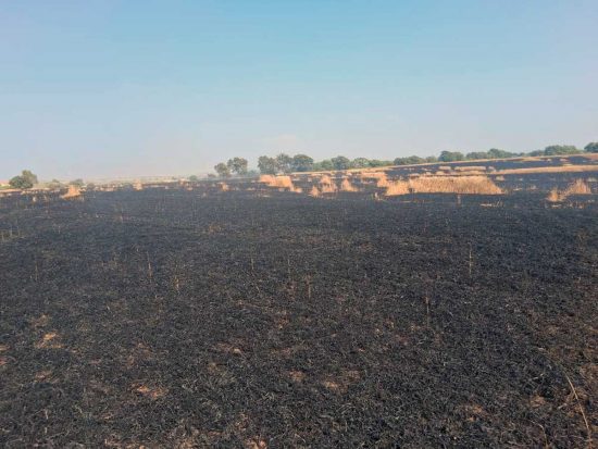 Incendio a Tarquinia