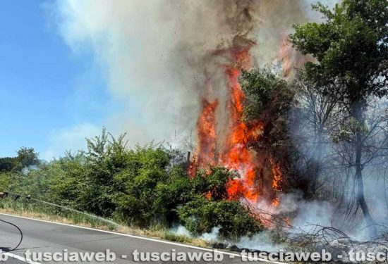 Oriolo Romano - Incendio di sterpaglie lambisce le abitazioni