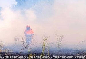 Oriolo Romano - Incendio di sterpaglie lambisce le abitazioni