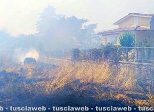 Oriolo Romano - Incendio di sterpaglie lambisce le abitazioni