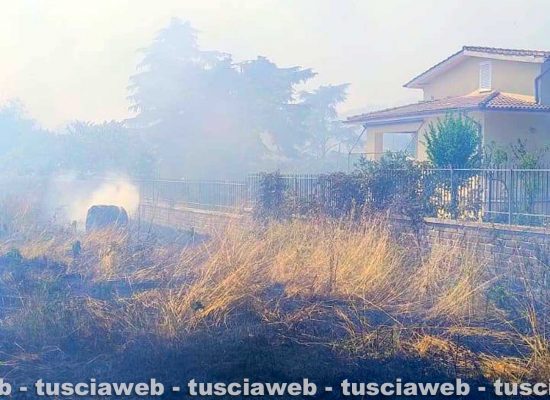 Oriolo Romano - Incendio di sterpaglie lambisce le abitazioni