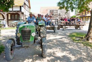 Back Home - Ottava tappa - Alsazia