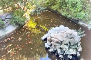 Viterbo - Moria di pesci a prtogiardino