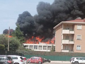 In fiamme la facoltà di agraria