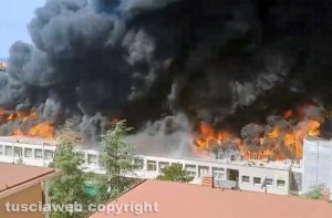 In fiamme la facoltà di agraria