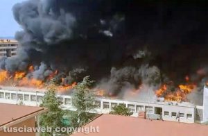 In fiamme la facoltà di agraria