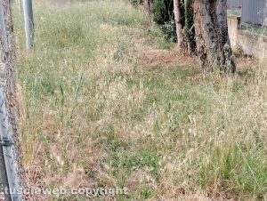 Viterbo - Parchetto al Murialdo