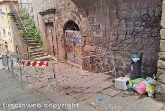 Viterbo - Immondizia e animali morti in centro