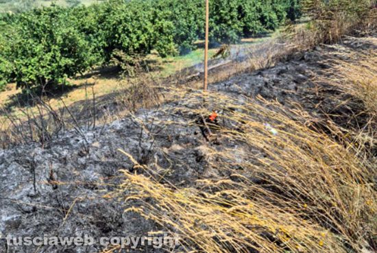 Viterbo - Vasto incendio di sterpaglie vicino al kartodromo