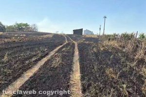 Viterbo - Vasto incendio di sterpaglie vicino al kartodromo
