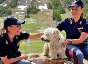 Polizia di stato - Video contro abbandono animali