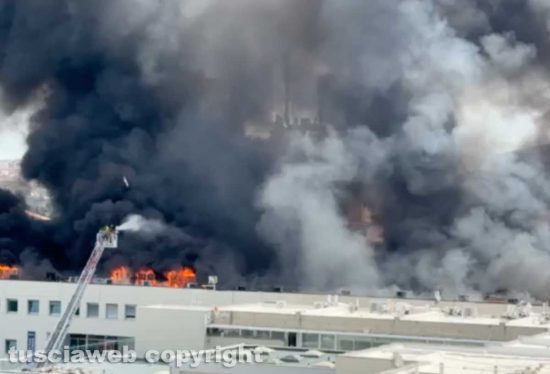 Unitus - In fiamme la facoltà di agraria - L'intervento dei vigili del fuoco