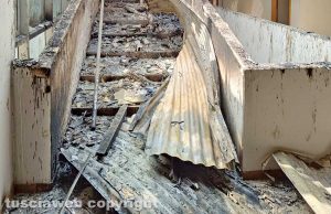 Rogo alla facoltà di agraria - I gravi danni prodotti dall'incendio