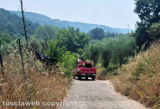 Montefiascone - Incendio di sterpaglie nella valle del lago