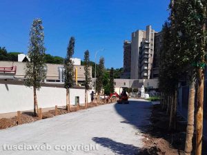 Viterbo - Lavori in corso lungo il viale dell'ospedale Santa Rosa