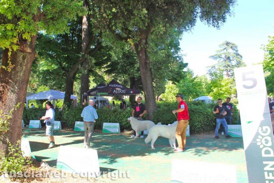 Viterbo - La manifestazione "Amici a 4 zampe - Viterbo con… Fido in te"