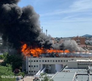 In fiamme la facoltà di agraria