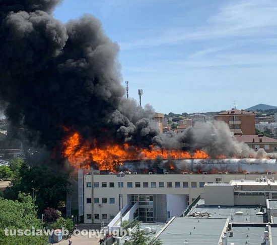 In fiamme la facoltà di agraria