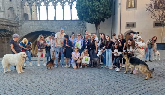 Viterbo - La passeggiata guidata nel centro in compagnia del proprio cane