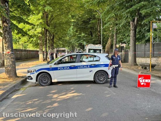 Viterbo - Moto contro albero su viale Trieste