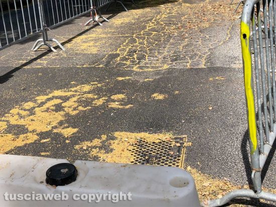 Viale Trieste - Il manto stradale nel punto dove ha perso la vita Leonardo Cristiani